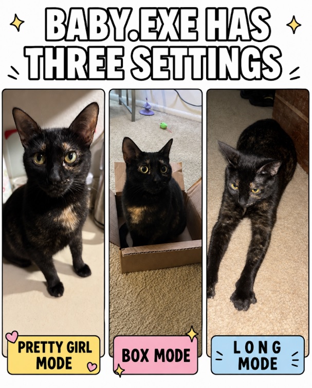 A collage meme showing several moods of Baby
