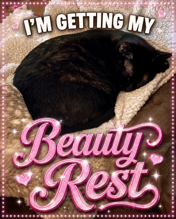 A Beauty Rest meme featuring Baby